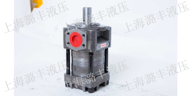 辽宁伺服齿轮泵按需定制 上海市潞丰液压技术供应