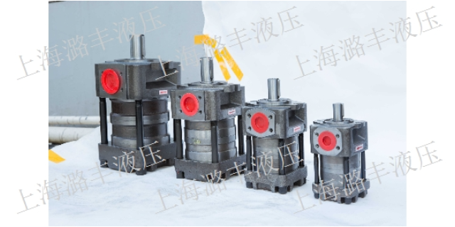 重庆电动齿轮泵厂家 上海市潞丰液压技术供应