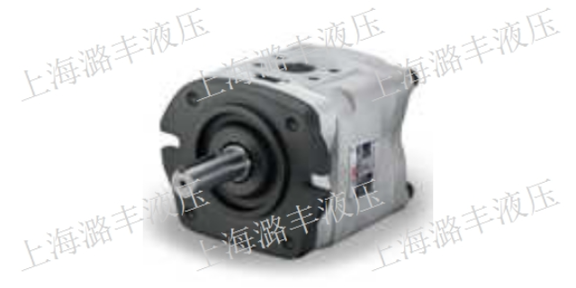 海南电动齿轮泵厂家直销 上海市潞丰液压技术供应