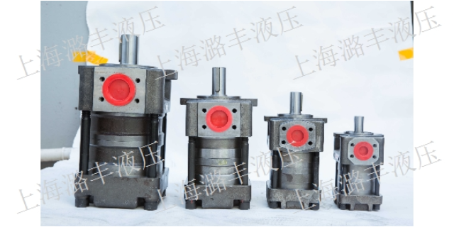 云南耐高温齿轮泵出厂价 上海市潞丰液压技术供应;