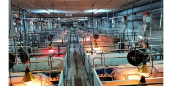 天津猪场除臭系统生产厂家 广州荷德曼农业科技供应