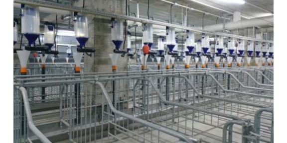 云南自动化猪场空气净化系统生产厂家 广州荷德曼农业科技供应