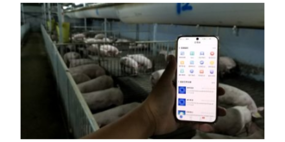 云南智慧养殖猪场空气净化系统品牌商家 广州荷德曼农业科技供应