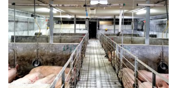 重庆数字化猪场除臭系统养殖 广州荷德曼农业科技供应