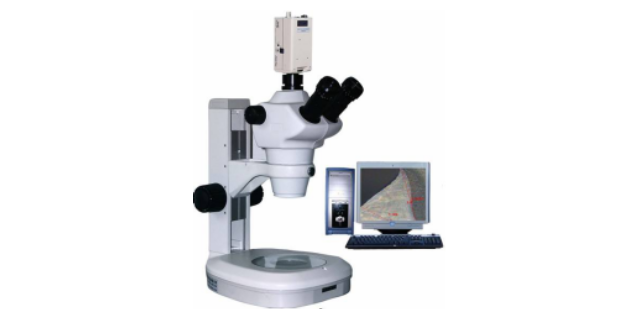 杭州工业显微镜供应商 杭州锐思特检测仪器供应