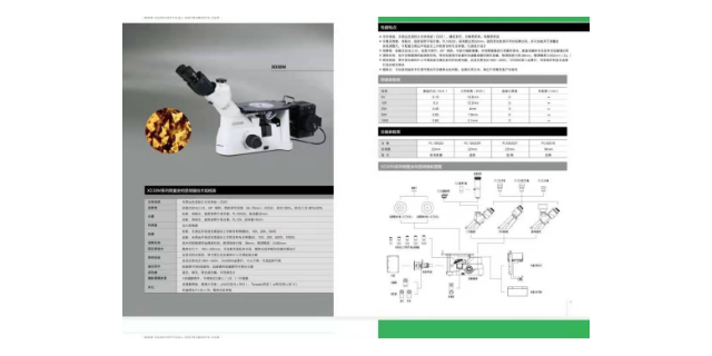 杭州倒置显微镜制造商 杭州锐思特检测仪器供应