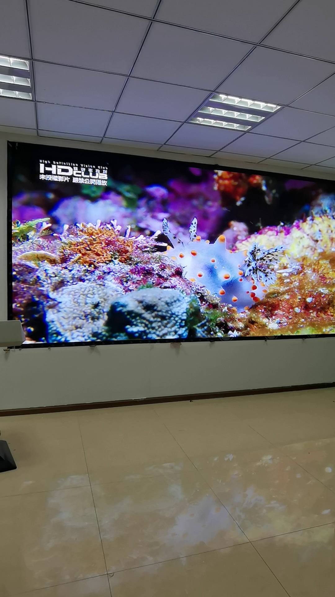 杭州多媒体数字展厅LED电子显示屏价格,LED电子显示屏