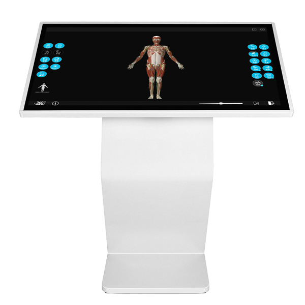 人体3D解剖教学系统_上海宝松堂生物科技有限公司
