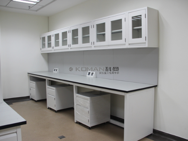 贵州微生物实验室家具全钢通风柜