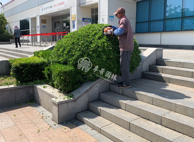 江苏室内绿植造景服务价格,室内绿植造景