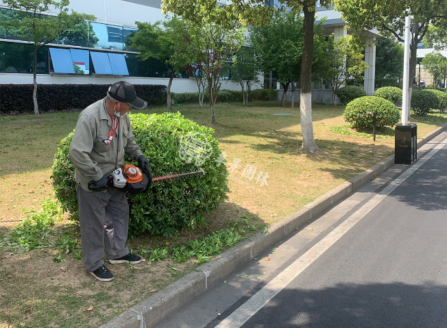 江苏室内绿植造景具体工作 欢迎来电 江苏季景园林景观工程供应