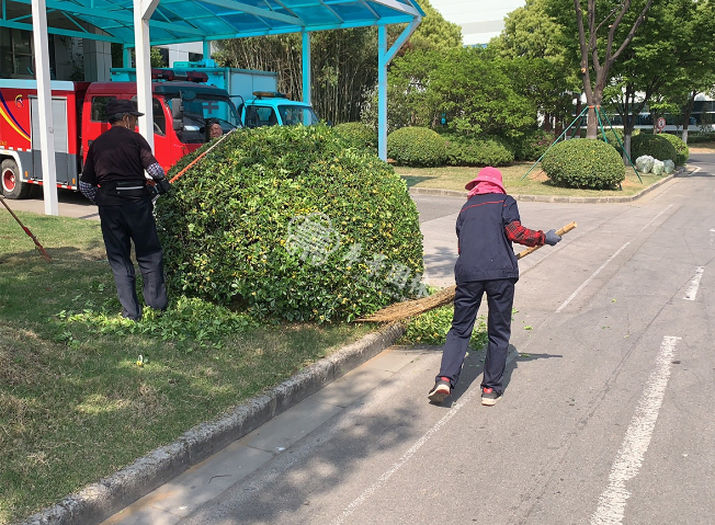 江苏室内绿植造景价格询价 欢迎咨询 江苏季景园林景观工程供应