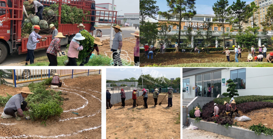 江苏室内绿植造景省时,室内绿植造景