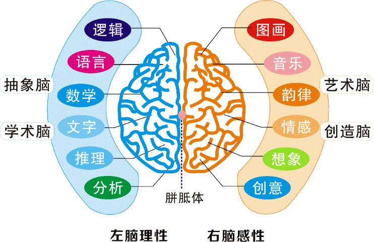 黔南州脑潜能开发培训 诚信服务 贵州六唯教育供应