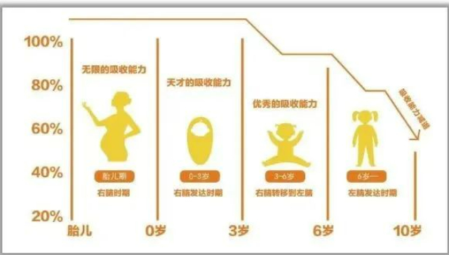 贵州幼儿全脑潜能开发 欢迎咨询 贵州六唯教育供应