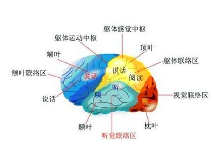 贵阳潜能开发性价比 服务为先 贵州六唯教育供应