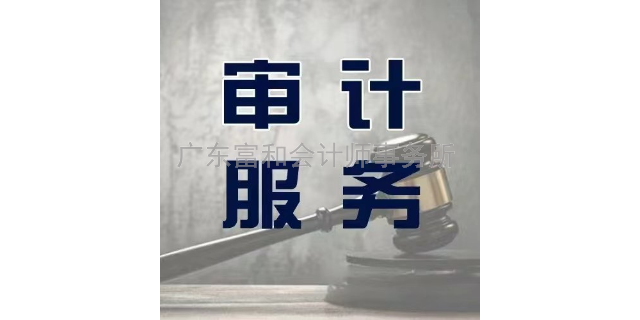 广东企业审计平台
