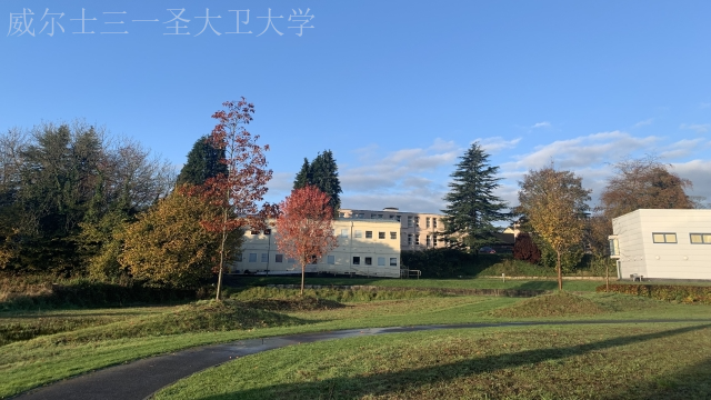 上海艺术类博士留学匹配院校 威尔士三一圣大卫大学供应