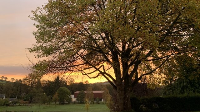 上海藝術(shù)類考博后怎么去留學(xué) 威爾士三一圣大衛(wèi)大學(xué)供應(yīng)