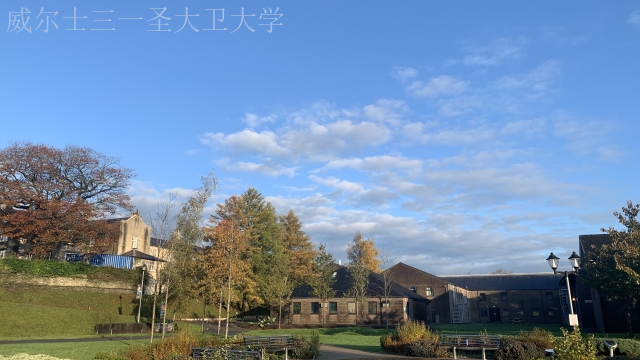 青岛大学本科留学安全吗