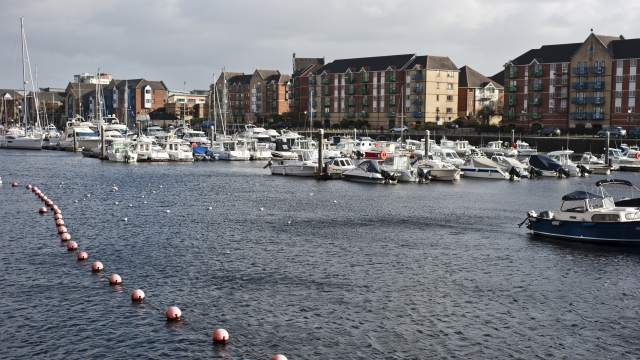 上海海外博士留學(xué)學(xué)校 威爾士三一圣大衛(wèi)大學(xué)供應(yīng)