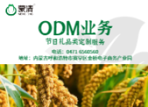 蒙清-ODM业务
