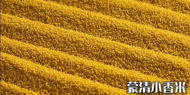 上海名优杂粮供应生产厂家 欢迎来电 内蒙古蒙清农业科技供应;