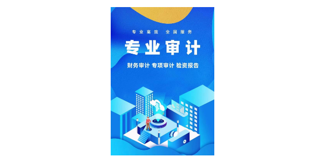 上海第三方审计服务,审计服务