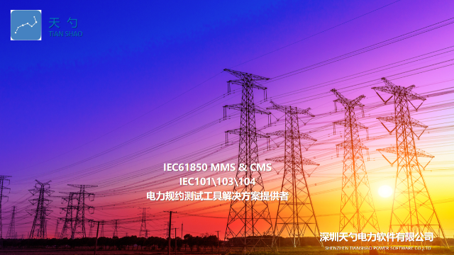 IEC61850CMS测试工具 欢迎来电 深圳天勺电力软件供应