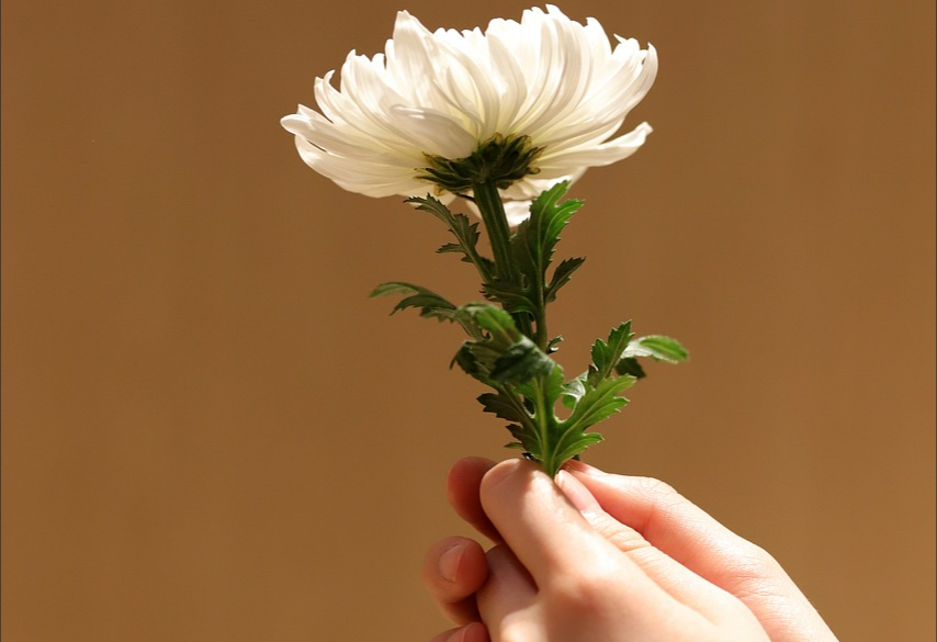 殯葬服務(wù)的流程包括哪些?