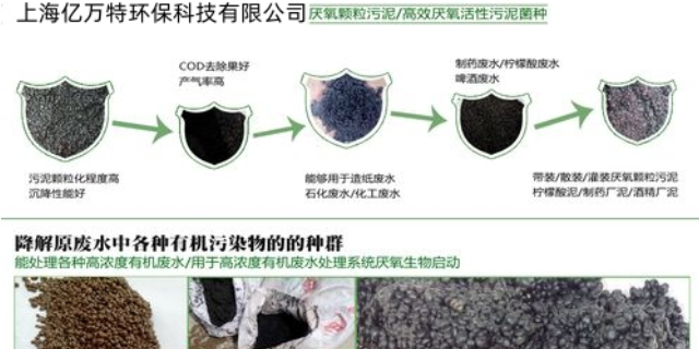 重庆企业厌氧颗粒污泥培育费用是多少