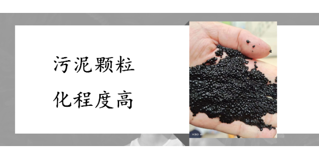 南京企业厌氧颗粒污泥培育费用是多少,厌氧颗粒污泥培育