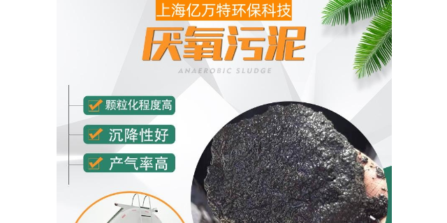芜湖关于厌氧颗粒污泥培育商家,厌氧颗粒污泥培育