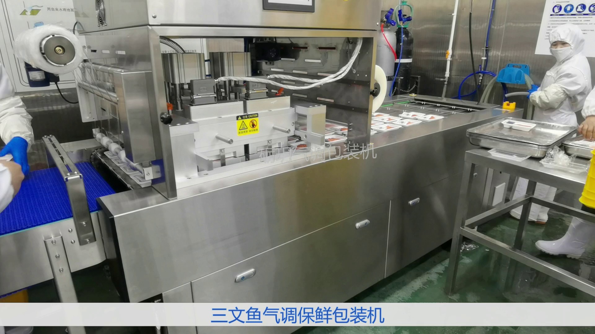 北京猪肉气调保鲜包装机生产商,包装机