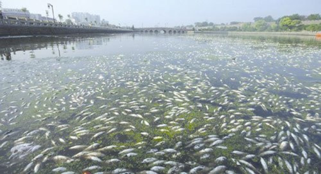 浙江医疗除磷剂定制 南京亿之源环保科技供应